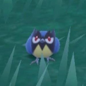 Meet your Posher, Dalton